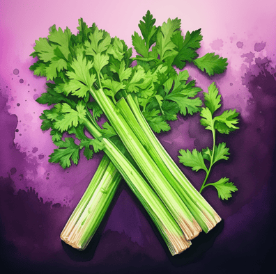 Cilantro vs celery