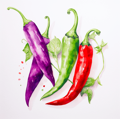 Green chilies vs red chilies